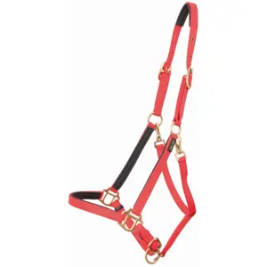 Cavezza per cavalli T de T Biotack®