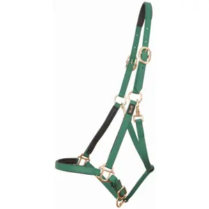 Halter for horse T de T Biotack® image-0