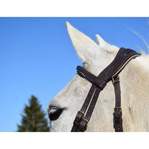 Briglie da equitazione T de T Velazquez image-1