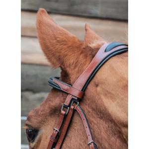 Bridles T de T Lautrec image-1