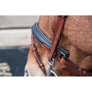 Bridles T de T Lautrec image-2