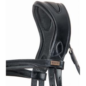 Bridles T de T Matisse image-1