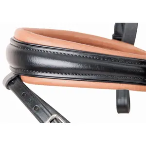 Bridles T de T Matisse image-1