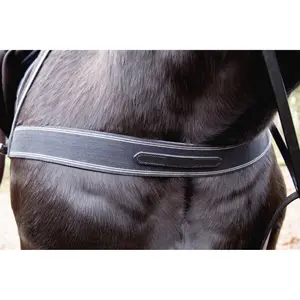 Elastic hunting collar for horses T de T image-0