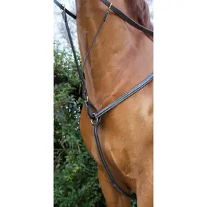 Jagdhalsband für Pferde, mit Leder gefüttert T de T image-0