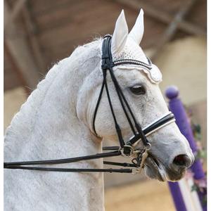 Bitless bridles T de T Ribera