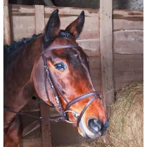 Bridles T de T Klimt image-0