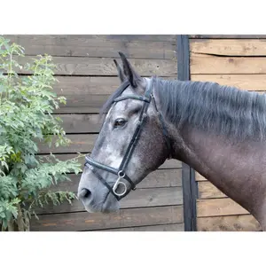 Zaumzeug Reiten T de T Guardi image-0