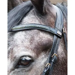 Zaumzeug Reiten T de T Guardi image-1