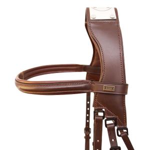 Bridles with bridge T de T Raphaël image-1