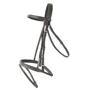 Kombinerade ridträns T de T Sisley image-0