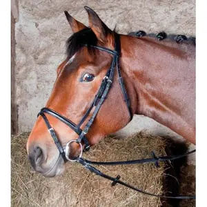 Zaumzeug Reiten T de T Bellini image-0