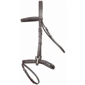 Riding bridles T de T Renoir image-0