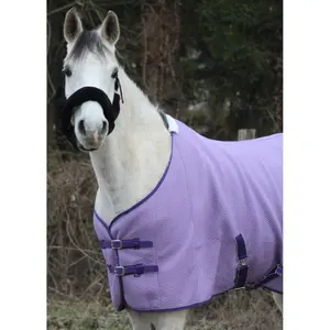 Chemise pour cheval micro jersey T de T image-0