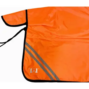 Reflective horse rug T de T image-1