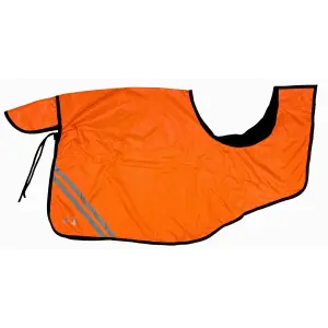Reflective horse rug T de T