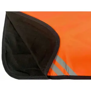 Reflective horse rug T de T image-3