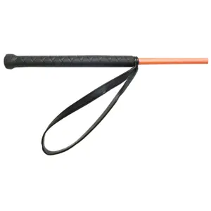 Riding whip T de T Club image-2