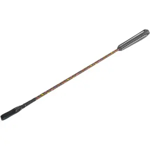 Riding Whip T de T image-0