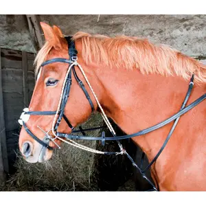 Gogue T de T 01 image-0