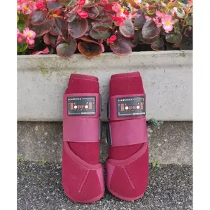Botas de neoprene para cavalos T de T image-1