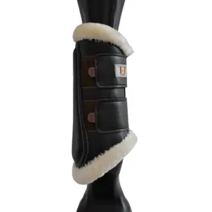 Elülső dresszúra lábszárvédők ló számára T de T Training 22