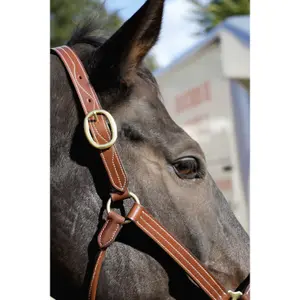 Licol pour cheval en cuir T de T Trippled Stiched image-0