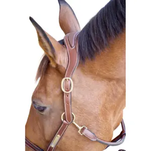 Horse halter with plate T de T