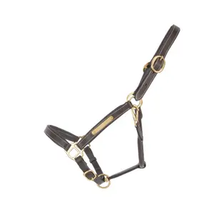 Licol pour cheval en cuir avec plaque T de T image-0