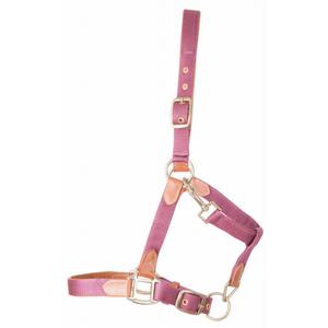 Lederen paardenhalster met riem T de T image-0