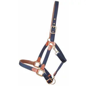 Leather halter for horse and strap T de T image-0