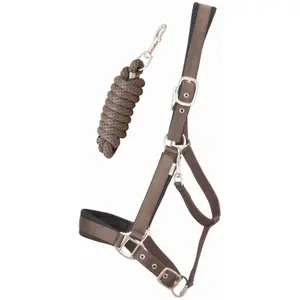 Satiniertes, unterlegtes Pferdehalfter mit Longe T de T image-0