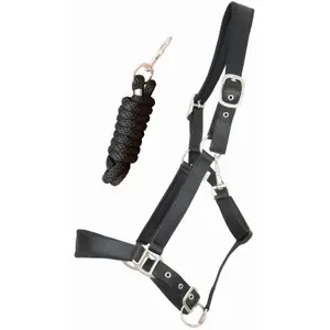 Satin lined horse halter with round lead reins T de T image-0