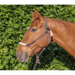etho comfort halter + lead reins T de T image-1