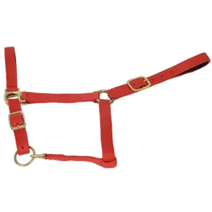 Halfter T de T image-0