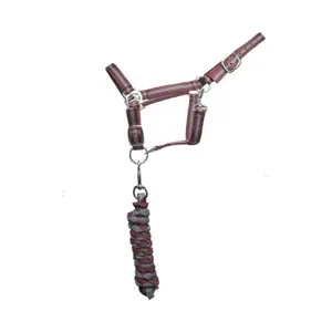 Halter for double horse + lead reins T de T image-0