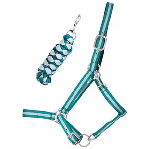 Halter for double horse + lead reins T de T image-0