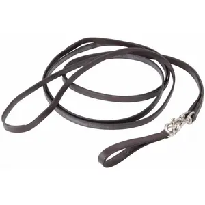 Horse Reins T de T image-0