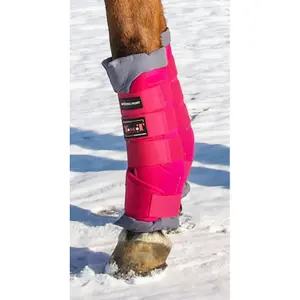 Stable boots pour cheval T de T image-1