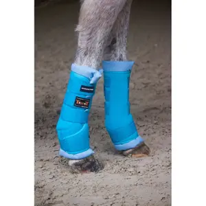 Stable boots pour cheval T de T image-1