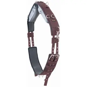 Horse surfaix T de T