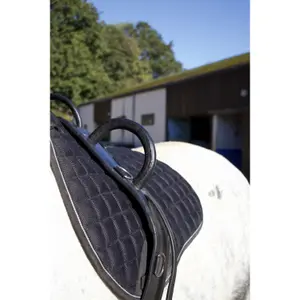 Pommeau de voltige T de T image-0