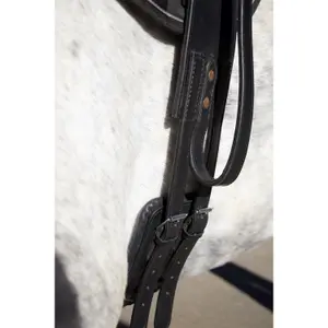 Pommeau de voltige T de T image-2