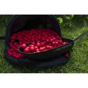 Concha para escorva Nash image-1