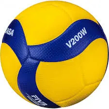 Volleyball Mikasa V200W image-0