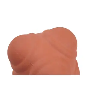 Z-ball Tanga sports image-2