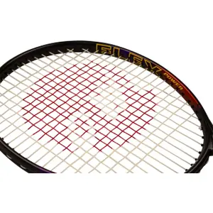 Raqueta de tenis para niños y metodología Tanga sports image-2