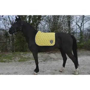 Sela para cavalo Paddock Origine image-2