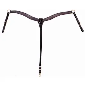 Smooth leather hunting collar for horses Tattini Western image-0