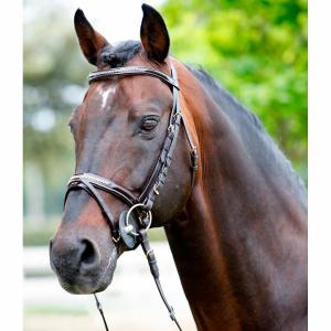 1410299-04-kopfstutze-frontal-licol-lackiert-strasssteine-tattini-braun